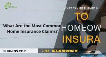 Home Insurance: What's Covered and What's Not?