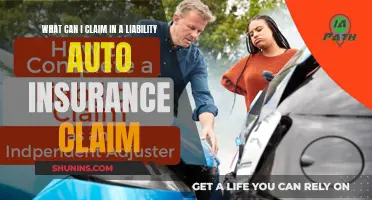 Understanding Auto Insurance Claims: What Can Be Covered?