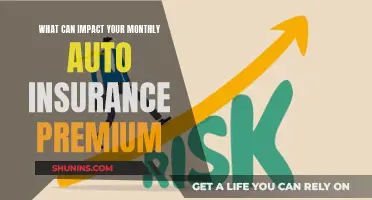 Auto Insurance Premium: Factors Affecting Your Monthly Cost