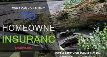 Maximizing Your Homeowners Insurance: What to Submit and When