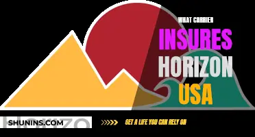 Who Insures Horizon USA?