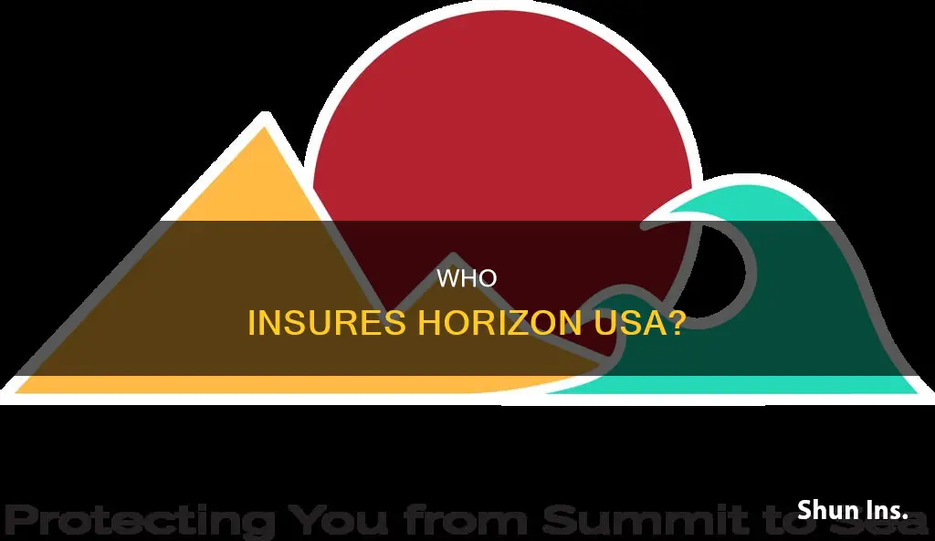 what carrier insures horizon usa