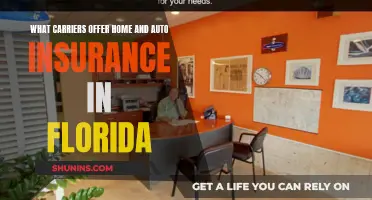 Best Home and Auto Insurance Carriers in Florida