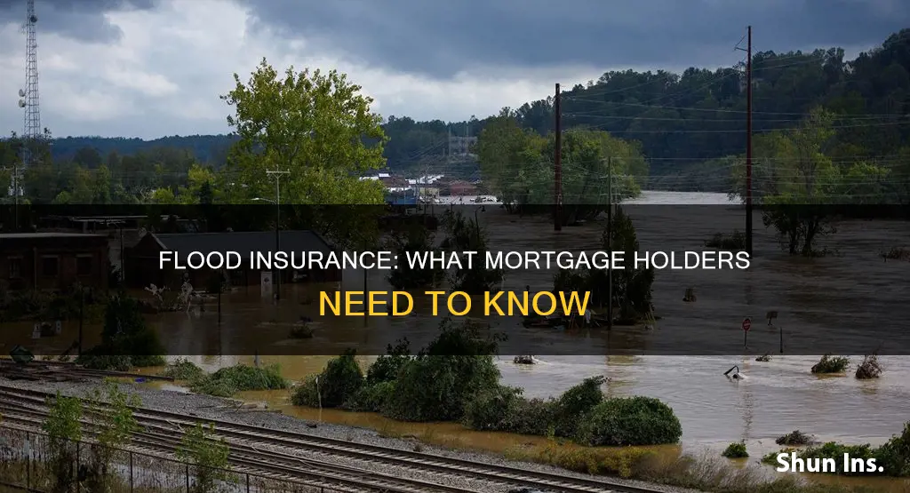 what carry full mortgage flood insurance