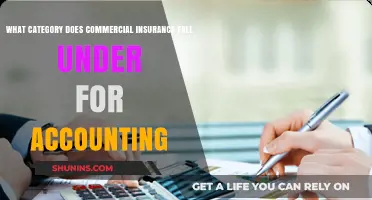 Commercial Insurance: Accounting's Critical Asset Protection