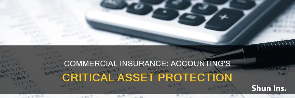 what category does commercial insurance fall under for accounting