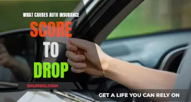 Understanding Factors Behind a Drop in Auto Insurance Scores