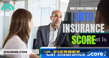 Auto Insurance Score: Factors Affecting Your Rating