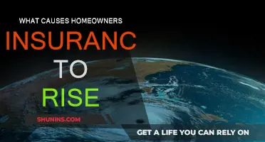 Home Insurance Premiums: Why the Spike?