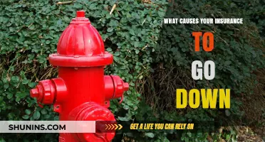 Understanding Factors That Lower Your Insurance Costs