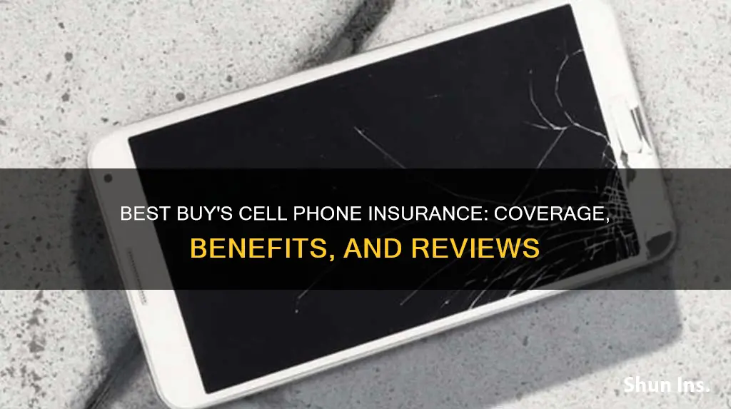 what cell phone insurance does bestbuy have