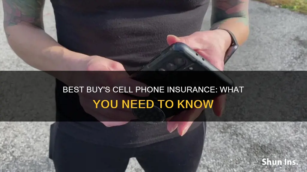 what cell phone insurance does bestbuy have