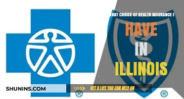 Exploring Health Insurance Options in Illinois: A Comprehensive Guide