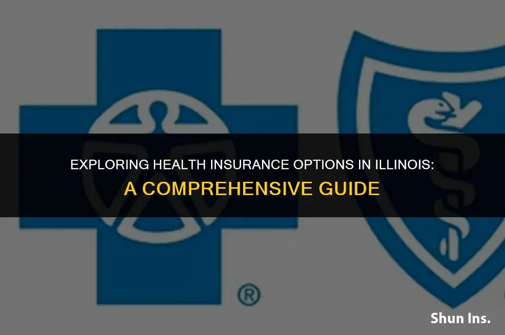 what choice of health insurance i have in illinois