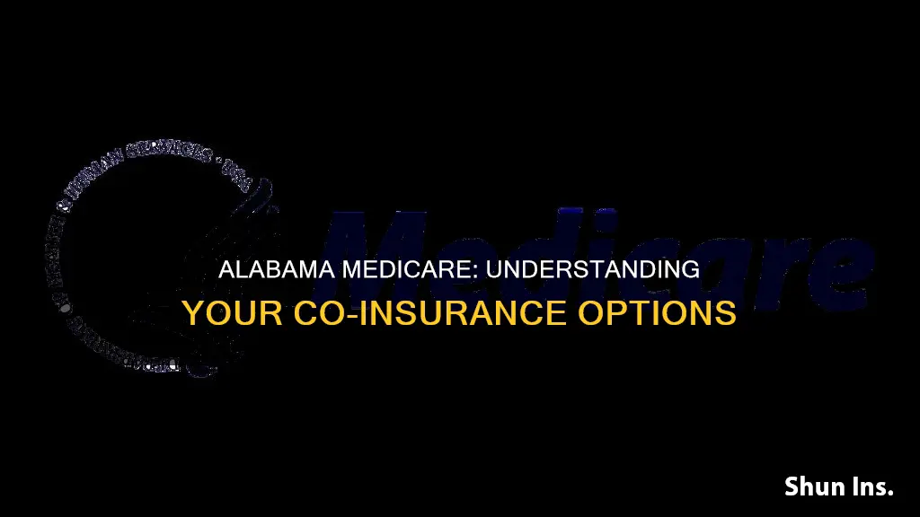 what co insurance goes with medicare in alabama