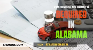 Alabama's Commercial Auto Insurance Requirements: What You Need to Know