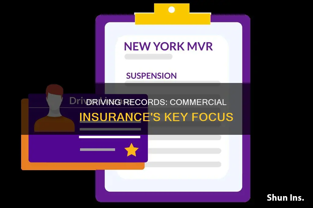 what commercial insurance look at viewing driving record