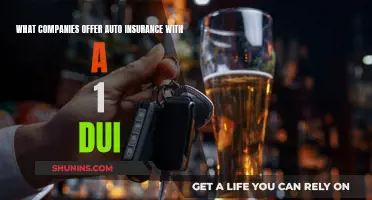 Best Auto Insurance Options After a DUI