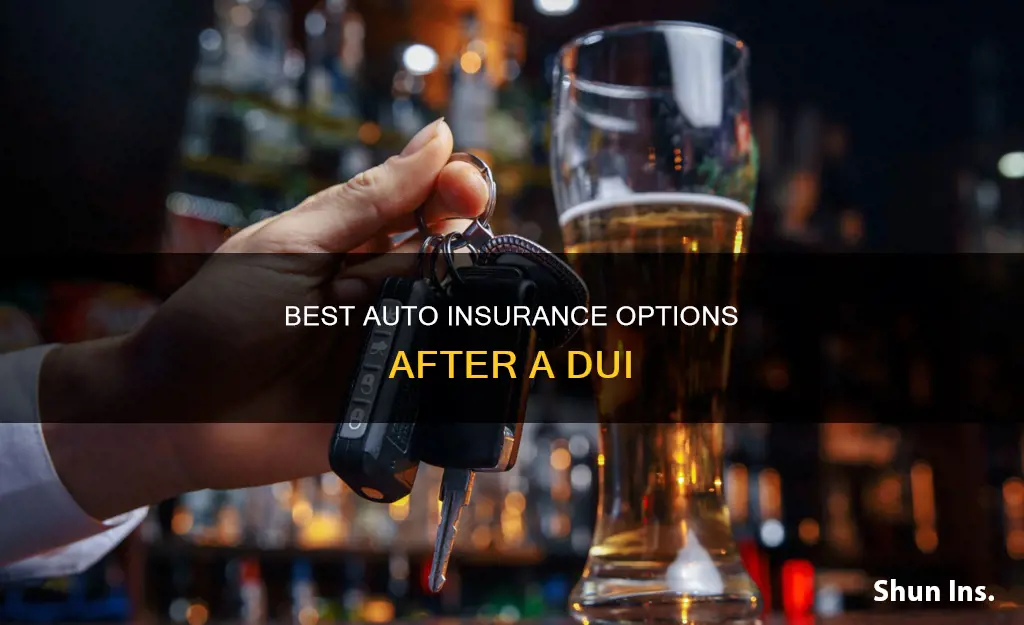 what companies offer auto insurance with a 1 dui