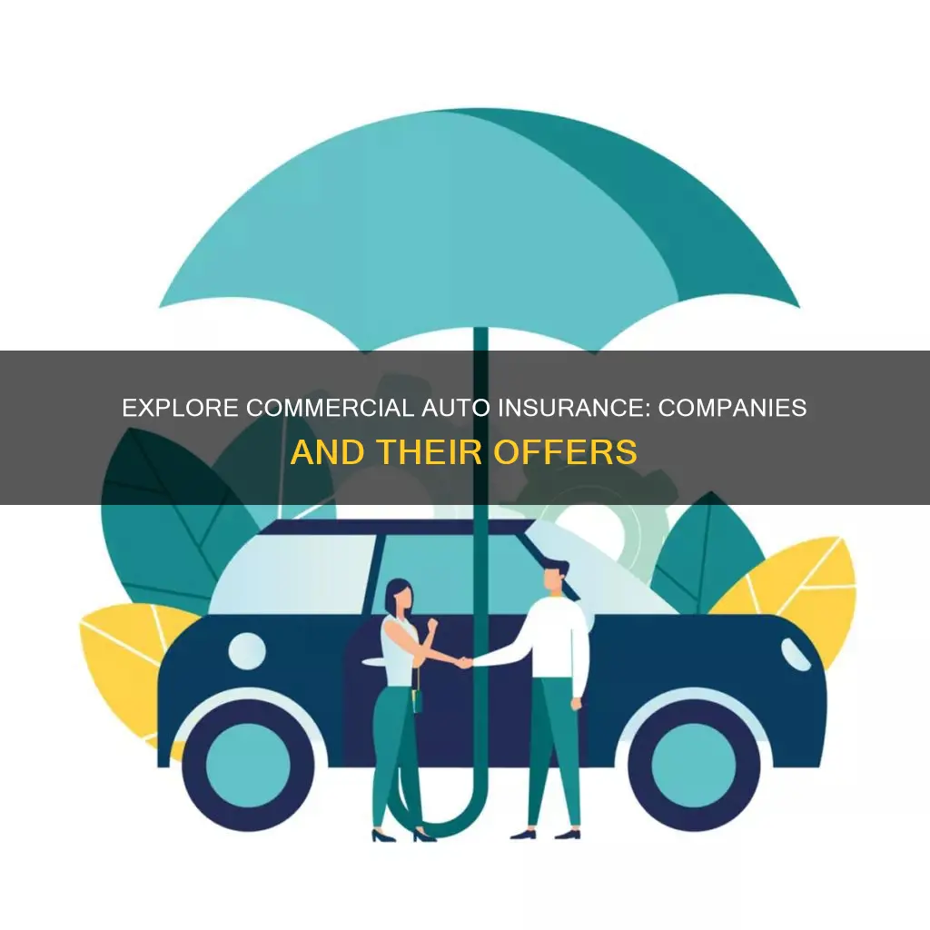 what companies offer commercial auto insurance