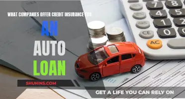 Credit Insurance for Auto Loans: Which Companies Offer It?