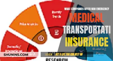 Non-Emergency Medical Transportation: Who Insures This Service?