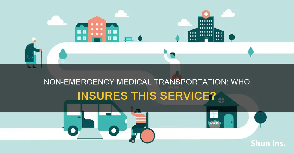 what companies offer non emergency medical transportation insurance
