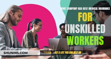 Best Medical Insurance for Unskilled Workers: Company Comparison