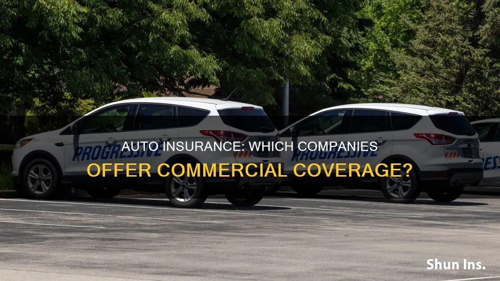 what company has comercial auto insurance