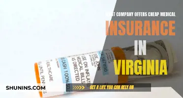 Virginia's Best Affordable Health Insurance Options