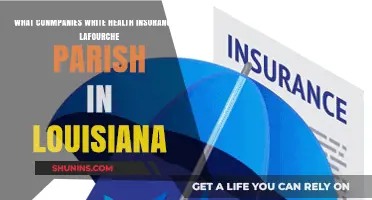 Exploring Health Insurance Providers in Lafourche Parish, Louisiana