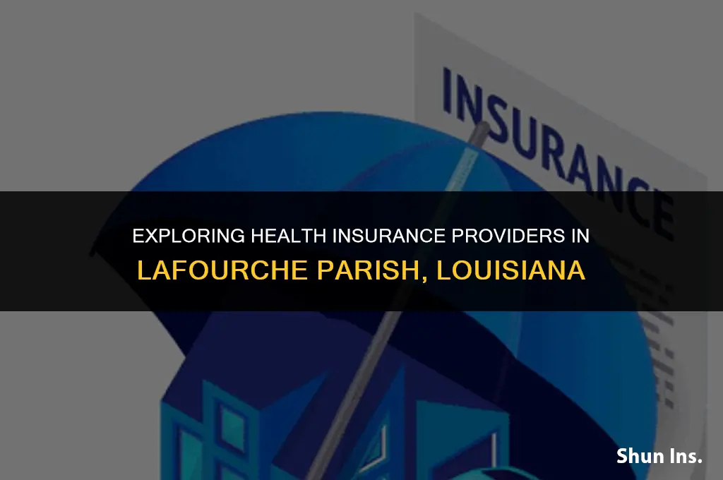 what conmpanies write health insurance in lafourche parish in louisiana