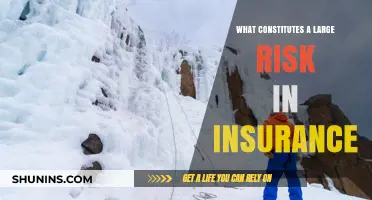Understanding Large Insurance Risks: What Constitutes a Large Risk?