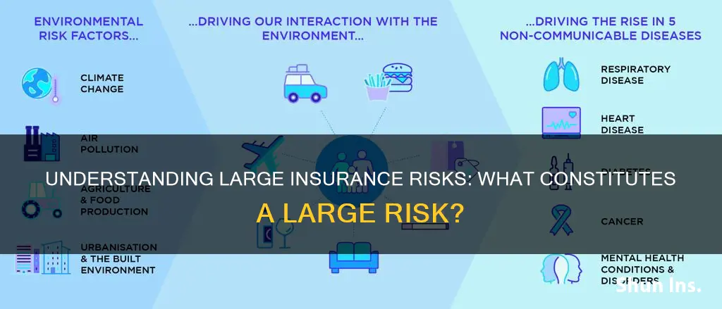 what constitutes a large risk in insurance