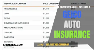 Full Coverage Auto Insurance: What GEICO Considers Comprehensive