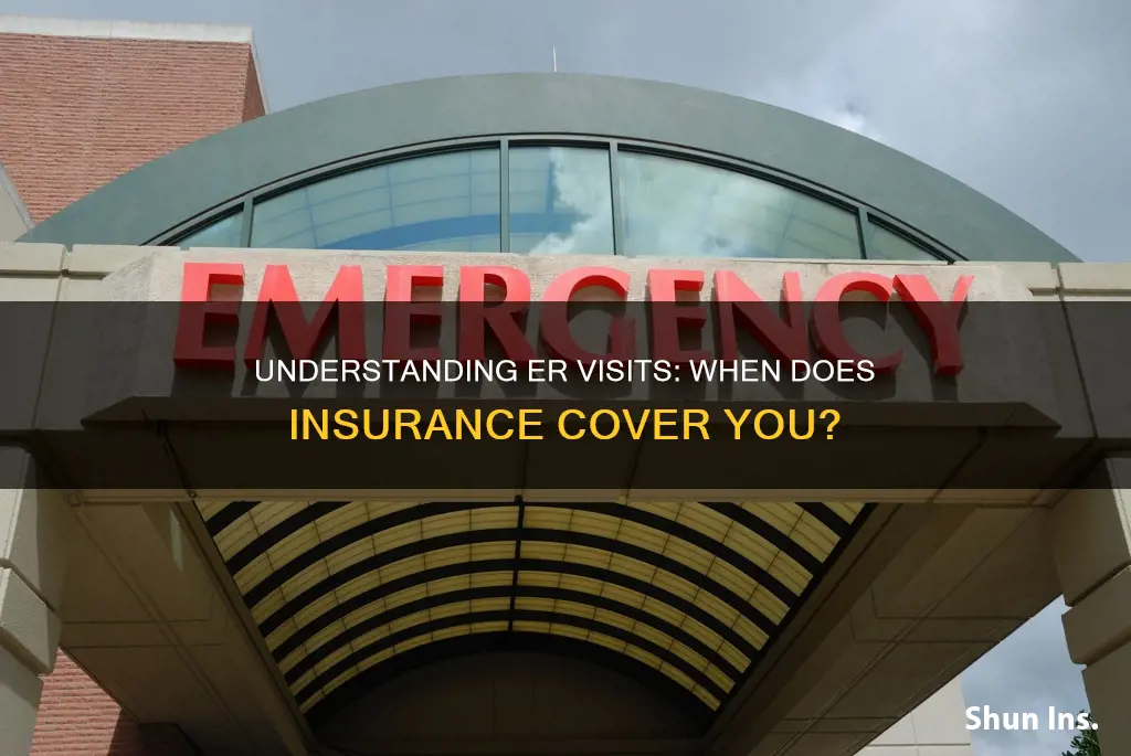 what constitutes er visit for medical insurance