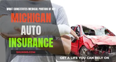 Understanding Your Michigan Auto Insurance Medical Coverage