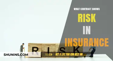 Understanding Insurance Contracts: Identifying Risk