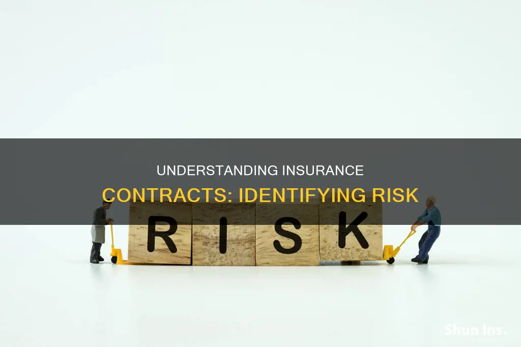 what contract shows risk in insurance