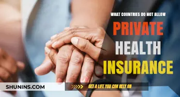 Exploring Nations Without Private Health Insurance Options