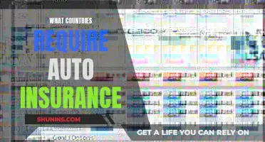 Auto Insurance: Where Is It Mandatory Globally?