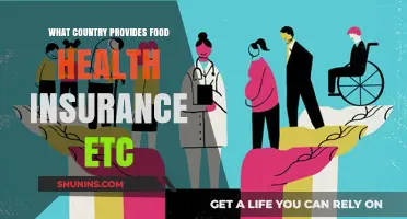 Exploring Universal Healthcare: Which Countries Offer Food, Health Insurance, and More?