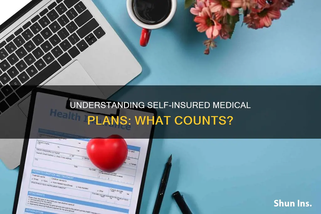 what counts as a self-insured medical plan
