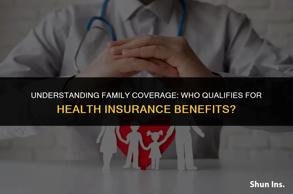 what counts as family for health insurance