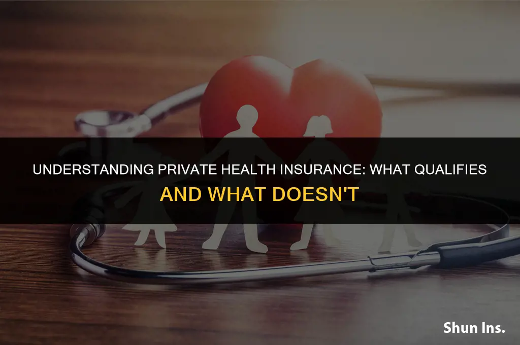 what counts as private health insurance