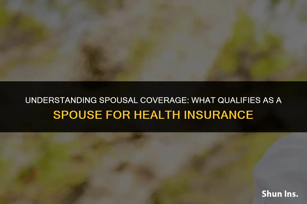 what counts as spouse for health insurance