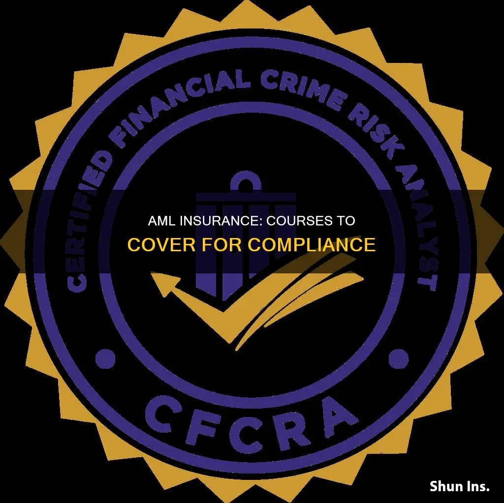 what courses qualify for anti money laundering insurance