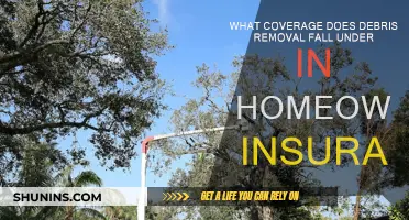 Understanding Debris Removal Coverage in Your Homeowners Insurance Policy