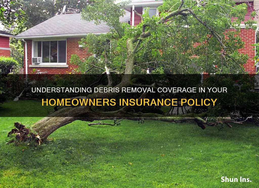 what coverage does debris removal fall under in homeowners insurance
