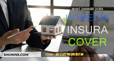 Home Insurance: What Property Damage is Covered?